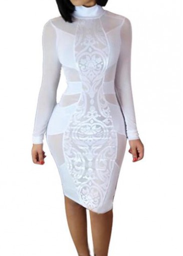 White Long Sleeve Semi Sheer Sheath Dress