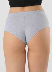 Light Grey intimates,Low Waisted Light Grey Panty for Women