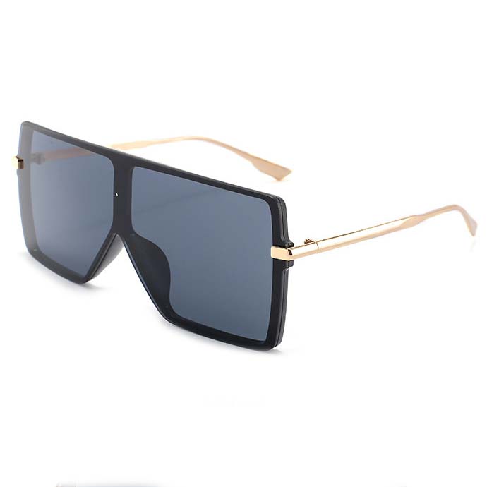 Black accessories,Other accessories,Black Geometric Large Frames Oversized Sunglasses